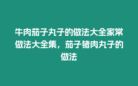 牛肉茄子丸子的做法大全家常做法大全集，茄子豬肉丸子的做法