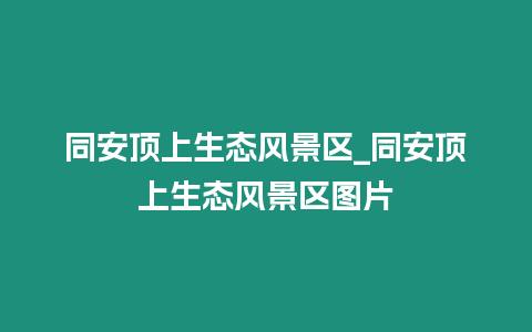 同安頂上生態(tài)風景區(qū)_同安頂上生態(tài)風景區(qū)圖片