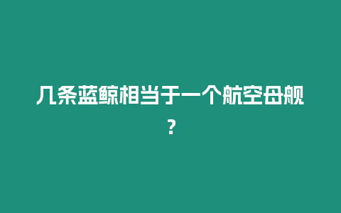 幾條藍(lán)鯨相當(dāng)于一個航空母艦？