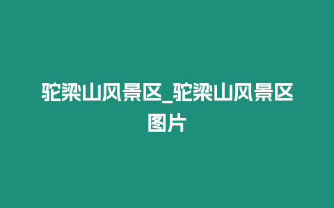 駝梁山風景區_駝梁山風景區圖片