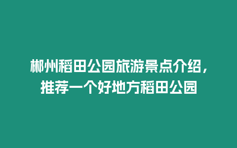 郴州稻田公園旅游景點介紹，推薦一個好地方稻田公園