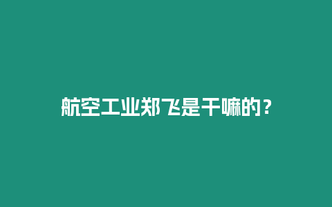 航空工業鄭飛是干嘛的？