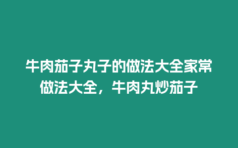 牛肉茄子丸子的做法大全家常做法大全，牛肉丸炒茄子