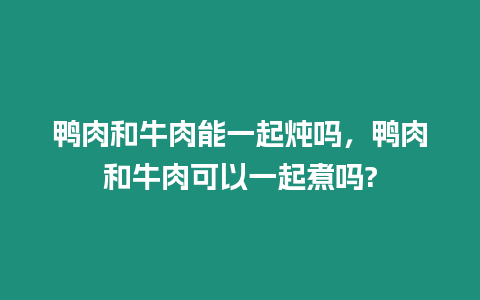 鴨肉和牛肉能一起燉嗎，鴨肉和牛肉可以一起煮嗎?