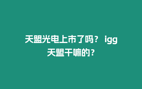 天盟光電上市了嗎？ igg天盟干嘛的？