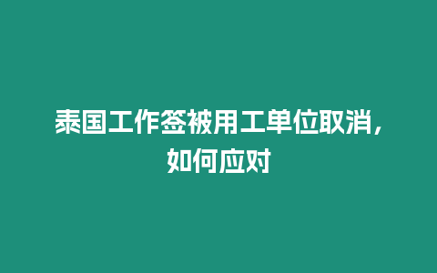 泰國工作簽被用工單位取消，如何應對