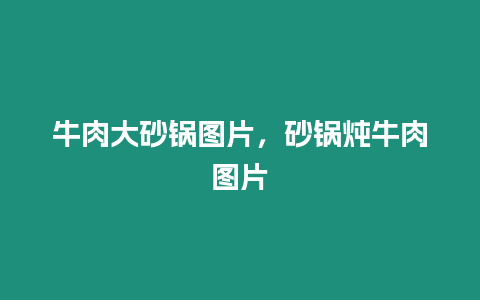 牛肉大砂鍋圖片，砂鍋燉牛肉圖片