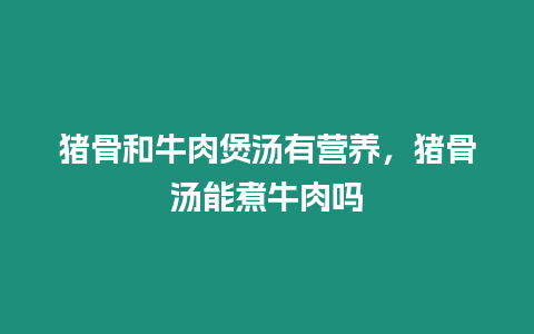 豬骨和牛肉煲湯有營養，豬骨湯能煮牛肉嗎