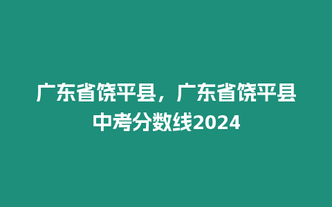 廣東省饒平縣，廣東省饒平縣中考分數線2024