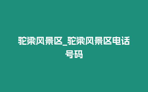 駝梁風景區_駝梁風景區電話號碼