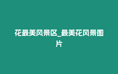 花最美風(fēng)景區(qū)_最美花風(fēng)景圖片