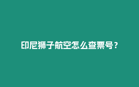 印尼獅子航空怎么查票號？