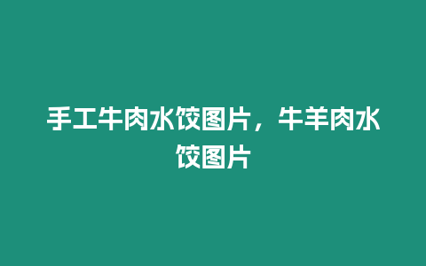 手工牛肉水餃圖片，牛羊肉水餃圖片