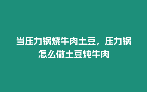 當壓力鍋燒牛肉土豆，壓力鍋怎么做土豆燉牛肉