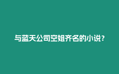 與藍天公司空姐齊名的小說？