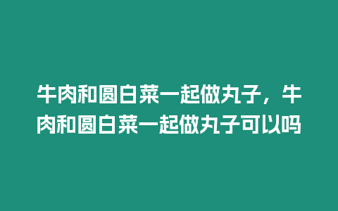 牛肉和圓白菜一起做丸子，牛肉和圓白菜一起做丸子可以嗎