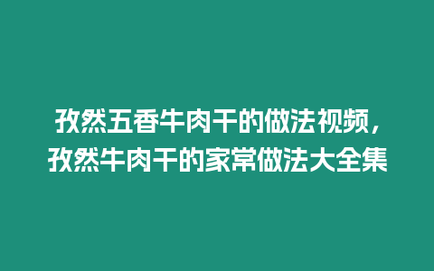 孜然五香牛肉干的做法視頻，孜然牛肉干的家常做法大全集