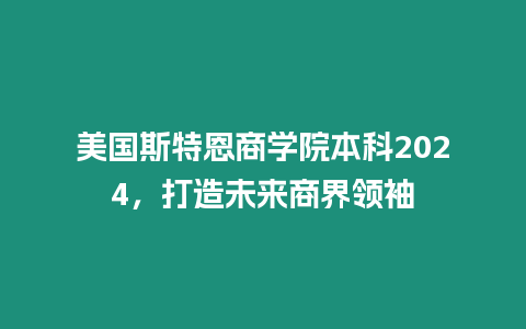 美國斯特恩商學(xué)院本科2024，打造未來商界領(lǐng)袖