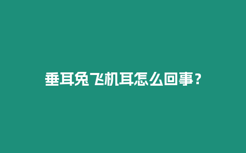 垂耳兔飛機耳怎么回事？