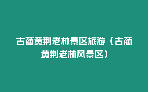 古藺黃荊老林景區(qū)旅游（古藺黃荊老林風(fēng)景區(qū)）