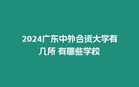 2024廣東中外合資大學有幾所 有哪些學校