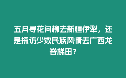 五月尋花問柳去新疆伊犁，還是探訪少數(shù)民族風(fēng)情去廣西龍脊梯田？