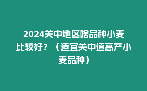 2024關中地區啥品種小麥比較好？（適宜關中道高產小麥品種）