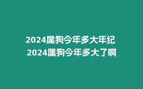 2024屬狗今年多大年紀 2024屬狗今年多大了啊