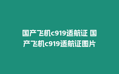 國產飛機c919適航證 國產飛機c919適航證圖片