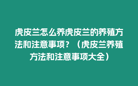 虎皮蘭怎么養虎皮蘭的養殖方法和注意事項？（虎皮蘭養殖方法和注意事項大全）