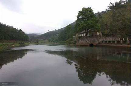 野梅嶺森林公園有門票嗎，梅嶺森林公園要門票嗎？