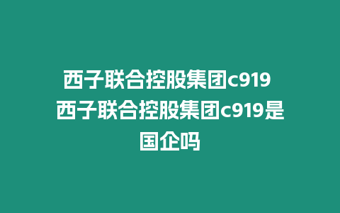 西子聯合控股集團c919 西子聯合控股集團c919是國企嗎