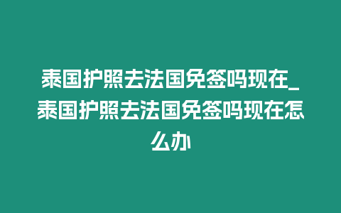 泰國護照去法國免簽嗎現在_泰國護照去法國免簽嗎現在怎么辦