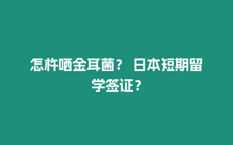 怎杵哂金耳菌？ 日本短期留學簽證？