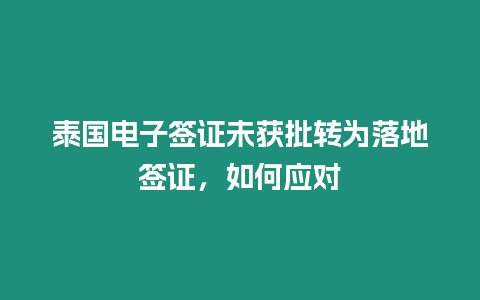 泰國電子簽證未獲批轉為落地簽證，如何應對