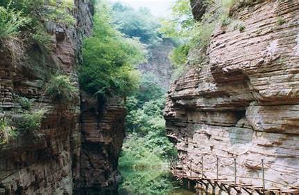 北京自然博物館門票怎么買，北京自然博物館門票怎么買不了？