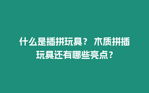 什么是插拼玩具？ 木質拼插玩具還有哪些亮點？