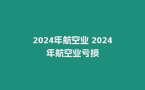 2024年航空業 2024年航空業虧損