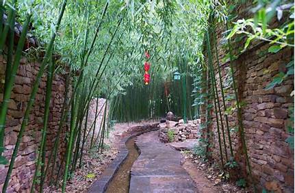 廈門的植物園有什么景點介紹（廈門的植物園有什么景點介紹作文）