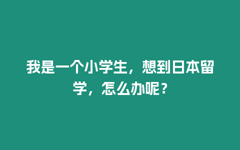 我是一個小學生，想到日本留學，怎么辦呢？