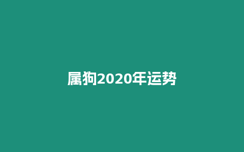 屬狗2020年運勢