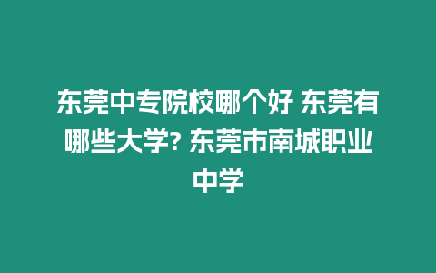 東莞中專院校哪個(gè)好 東莞有哪些大學(xué)? 東莞市南城職業(yè)中學(xué)