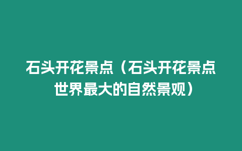 石頭開花景點(diǎn)（石頭開花景點(diǎn) 世界最大的自然景觀）