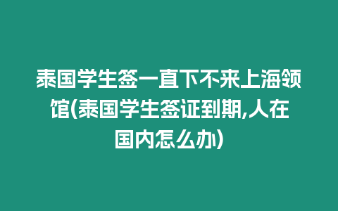 泰國學生簽一直下不來上海領館(泰國學生簽證到期,人在國內怎么辦)