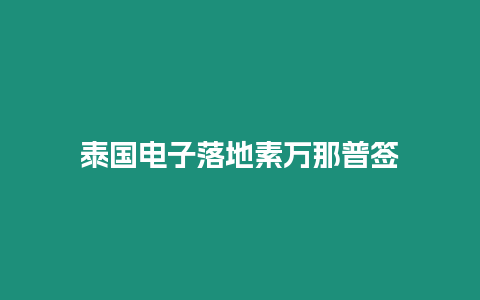 泰國電子落地素萬那普簽