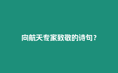 向航天專家致敬的詩句？