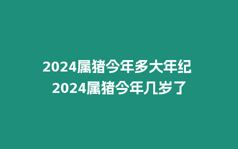 2024屬豬今年多大年紀 2024屬豬今年幾歲了