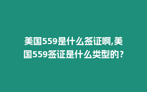 美國559是什么簽證啊,美國559簽證是什么類型的？