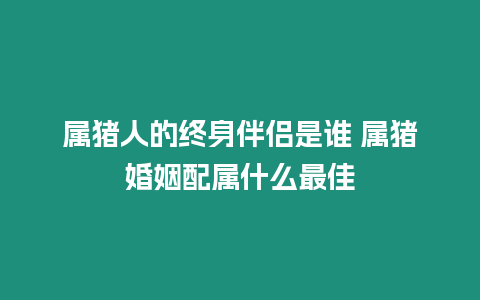 屬豬人的終身伴侶是誰 屬豬婚姻配屬什么最佳