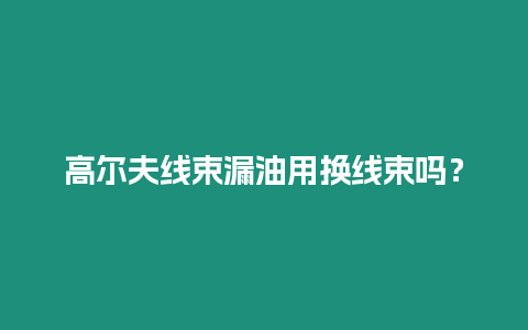 高爾夫線束漏油用換線束嗎？